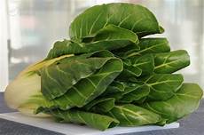 cucinare bietola ingrediente bietola da costa le ricette dello spicchio d cucinare bietola ingrediente bietola da costa le ricette dello spicchio d