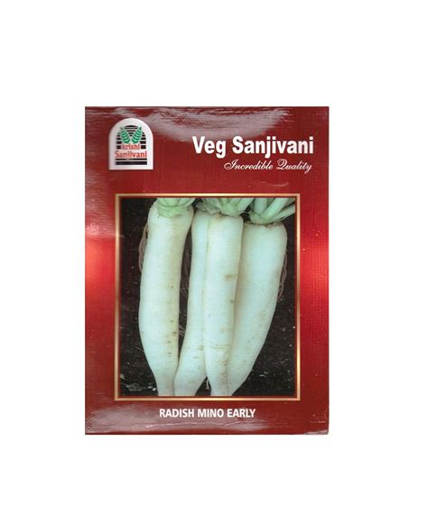 Radish (Mula) Seeds Mino Early Variety KGP 5gm (Pack of 5- 25gm ...