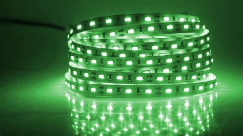 Deco Rope Lights – Norwood Electric Pvt. Ltd.