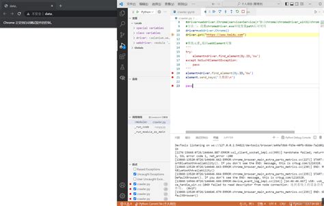 Install Selenium WebDriver Python 的图像结果
