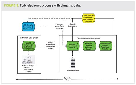 Image result for Example of Static Data