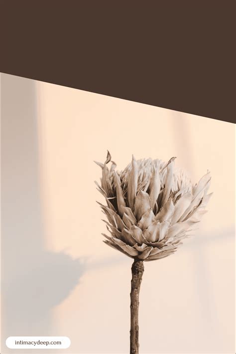 Image result for 12 Types of Intimacy