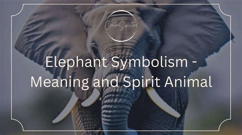 What Does The Elephant Symbolize In Literature at Heidi Burkholder blog