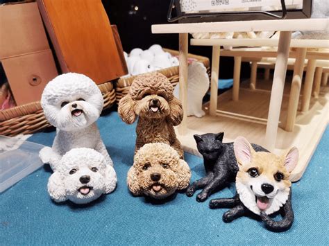 宠博会送什么礼物最新素材