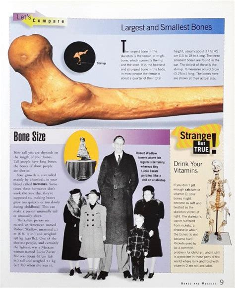 Time Life Student Library Human Body – Books and You