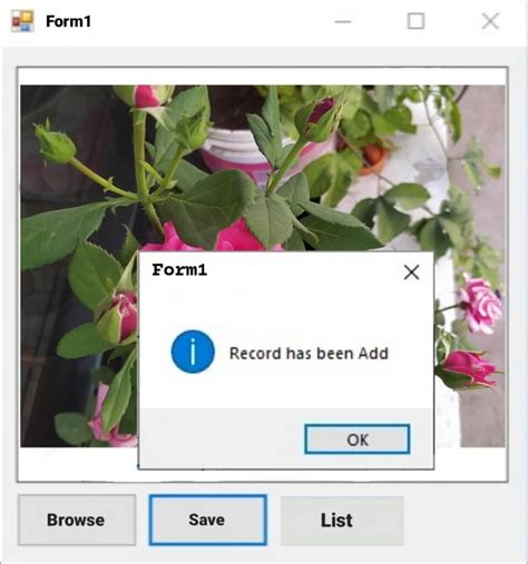 How to Attach a File to a Visual Basic Program 的图像结果