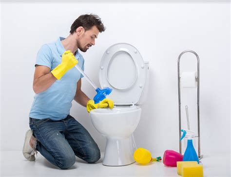 Common Toilet Problems 的图像结果