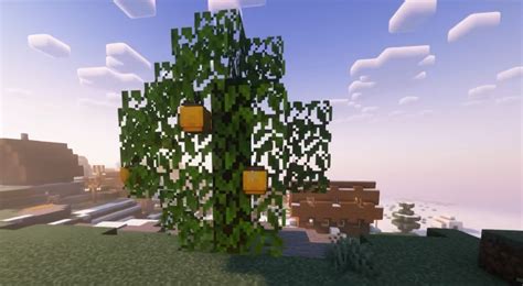 Cobblemon: How to Farm More Apricorns