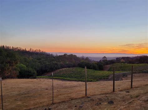 Gallery | Laguna Canyon Winery