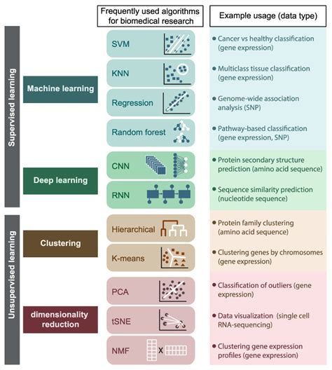 Machine Learning for Bioinformatics 的图像结果