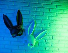 Image result for Black Rabbit with White Background