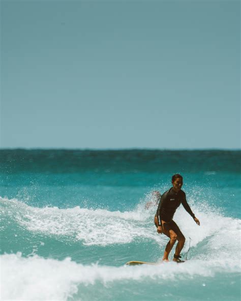 Swim 的图像结果