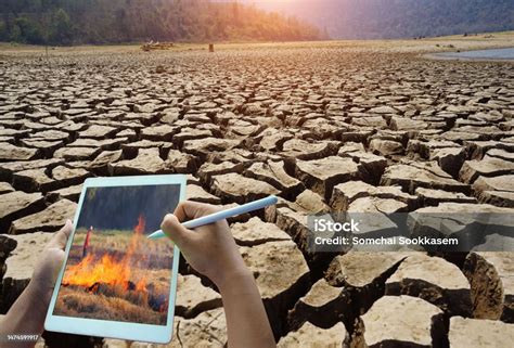 Bad Environment Examples 的图像结果