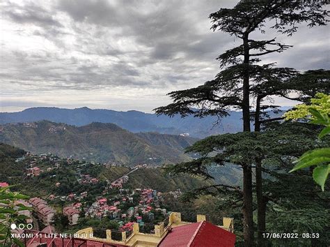 HOTEL SPRINGFIELDS (Shimla, Himachal Pradesh) - Hotel Reviews, Photos ...