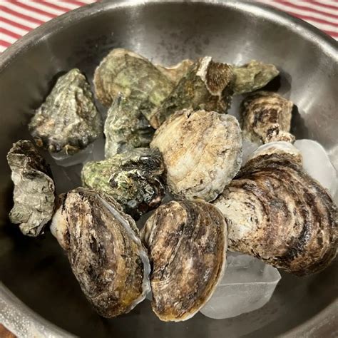 Easy Baked Oysters Recipe • The Wicked Noodle