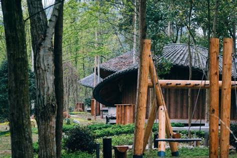 崇州买什么礼物好最新素材