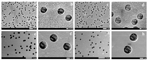 Graft Polymerization of Stearyl Methacrylate on PET Track-Etched ...