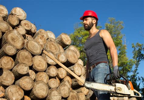 有草帽的伐木工人在木头背景 库存图片. 图片 包括有 文丐, 照相机, 本质, 肌肉, 伐木工人, 设备 - 30207507