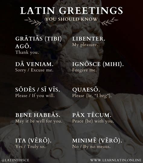 Pin by WOLF on *Catholic Faith | Latin quotes, Best latin quotes, Latin ...
