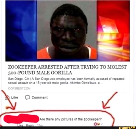 ZOOKEEPER ARRESTED AFTER TRYING TO MOLEST 500-POUND MALE GORILLA San Diego, CA I A San Diego zoo ...