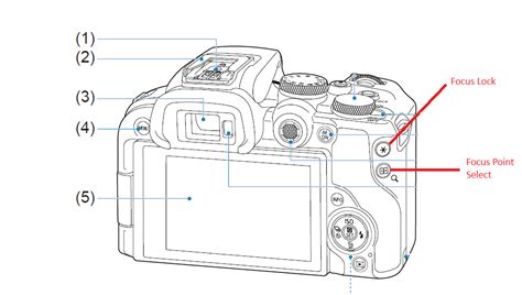 Image result for Canon R6 Back Button Tips