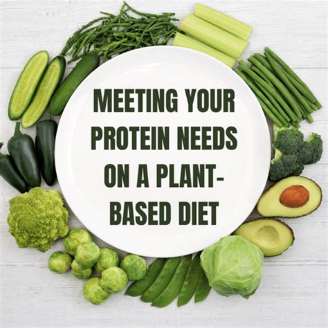 Plant-Based Protein: A Comprehensive Guide for Vegetarians and Vegans ...