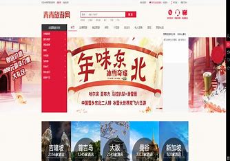 宁夏网站建站平台 的图像结果