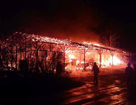 Vollständig zerstört: Brandstiftung in Maschinenhalle | agrarheute.com