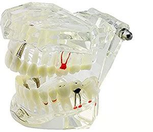 Unique Dents Solutions Pvt Ltd All in one model 01 Surgical Plier Price ...