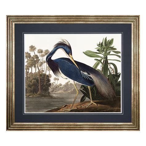 Louisiana Heron - Original Art from West Country Galleries