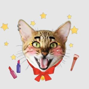40K+ Animated Video Stickers & AI Sticker Maker