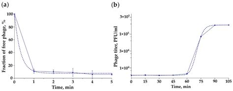 Bacteriolytic Potential of Enterococcus Phage iF6 Isolated from ...