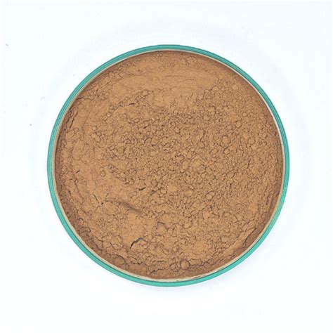 Role of Cinnamon Powder For Teeth Problems | Benefits & Uses – VedaOils