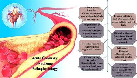 Bioengineering Examples 的图像结果