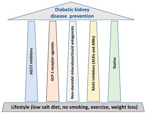 The Pillars for Renal Disease Treatment in Patients with Type 2 Diabetes