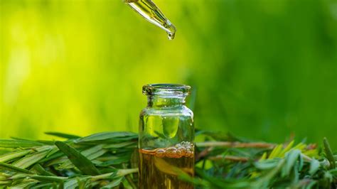 Essential Oils That Can Boost Your Ear Health And Tips to Use Them ...