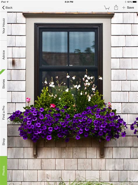 Window box plant ideas | Window box flowers, Window planters ...
