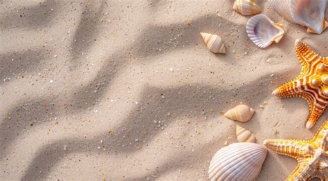 Image result for Repeat Pattern Drawingshells