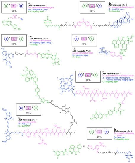Design, Synthesis, and Utility of Defined Molecular Scaffolds