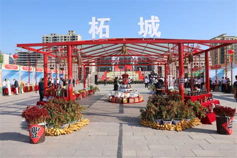 “中国农民丰收节”商丘主会场|第十五届全国辣椒产业大会在柘城举行-大河报网