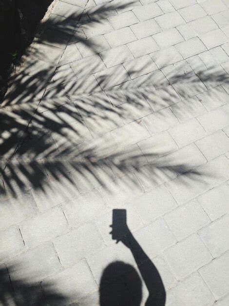 Shadow Person Using Computer 的图像结果