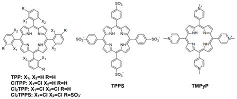 Photodynamic Inactivation of Bacteria with Porphyrin Derivatives ...