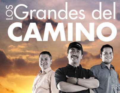 Image result for Patrick Fileti Shell Rimula