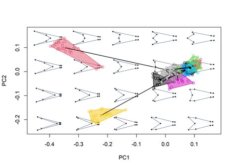 Morphospace Local Optima 的图像结果