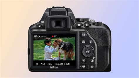 Which Is Better Dslr Or Mirrorless at Harold Gonzales blog