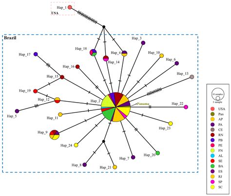 Phylogeography of a Widely Distributed Atlantic Species: The Case of ...