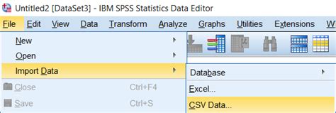 How to Import File in SPSS 的图像结果
