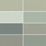 The Best Sage Green Paint at Ronald Whitehurst blog