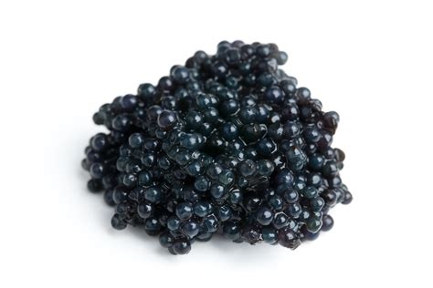 Sturgeon Fish Caviar Price