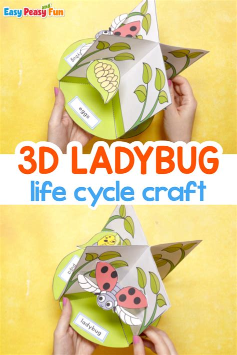 3D Ladybug Life Cycle Craft - Easy Peasy and Fun